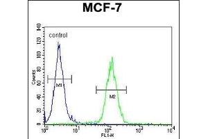 Flow Cytometry (FACS) image for anti-Upstream Transcription Factor 1 (USF1) (AA 174-201) antibody (ABIN655030)