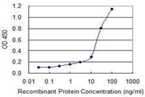 Detection limit for recombinant GST tagged C4BPB is 0. (C4BPB antibody  (AA 1-251))