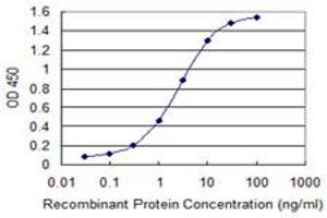 Detection limit for recombinant GST tagged YWHAZ is 0. (14-3-3 zeta antibody  (AA 51-150))
