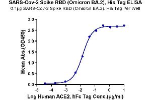 Immobilized SARS-Cov-2 Spike RBD (Omicron BA. (SARS-CoV-2 Spike Protein (BA.2 - Omicron, RBD) (His tag))