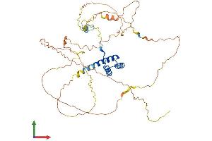 AlphaFold protein structure predicition of Mouse Recombinant Hlx Protein, UniprotID Q61670