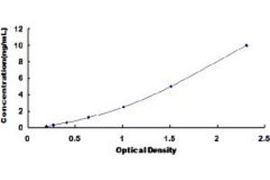 Typical standard curve (PDPK1 ELISA Kit)