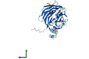 Protein Structure (PS) image for Damage-Specific DNA Binding Protein 2, 48kDa (DDB2) (AA 1-432) protein (His tag) (ABIN7564875)