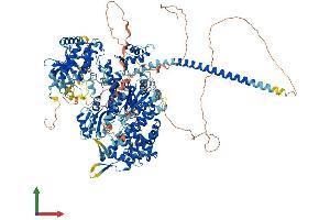 Protein Structure (PS) image for Myosin IIIB (MYO3B) (AA 1-1341) protein (His tag) (ABIN7554641)