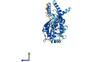 AlphaFold protein structure predicition of Mouse Recombinant Gpat3 Protein, UniprotID Q8C0N2 (AGPAT9 Protein (AA 1-438) (His tag))