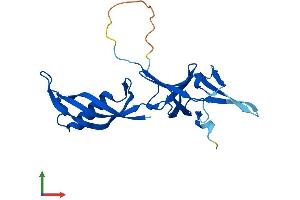 AlphaFold protein structure predicition of Human Recombinant POLR3H Protein, UniprotID Q9Y535 (POLR3H Protein (AA 1-204) (His tag))
