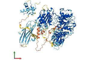 Protein Structure (PS) image for Moloney Leukemia Virus 10 (MOV10) (AA 1-1004) protein (His tag) (ABIN7562974)
