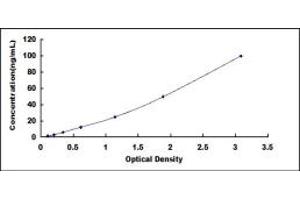 Typical standard curve (CYP3A5 ELISA Kit)