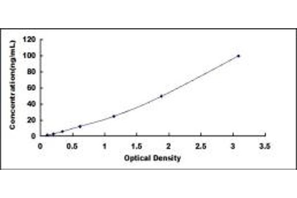 CYP3A5 ELISA Kit