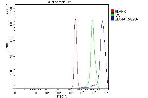 anti-Solute Carrier Family 4, Anion Exchanger, Member 1 (erythrocyte Membrane Protein Band 3, Diego Blood Group) (SLC4A1) (AA 28-365) antibody