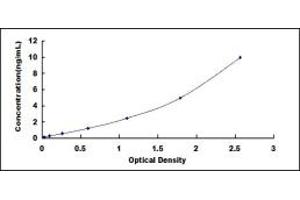 Typical standard curve (D2HGDH ELISA Kit)