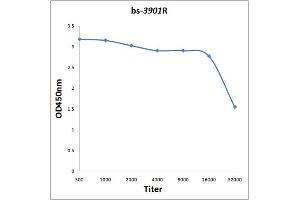 Antigen: 0. (CUBN antibody  (AA 51-150))