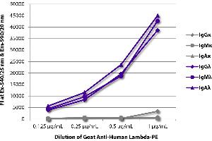 FLISA plate was coated with purified human IgGκ, IgMκ, IgAκ, IgGλ, IgMλ, and IgAλ. (Goat anti-Human lambda Antibody (PE))