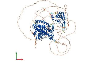 AlphaFold protein structure predicition of Human Recombinant SH2D3C Protein, UniprotID Q8N5H7 (SH2D3C Protein (AA 1-860) (His tag))