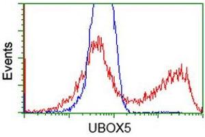 Image no. 2 for anti-U-Box Domain Containing 5 (UBOX5) (AA 1-130), (AA 419-487) antibody (ABIN1490569) (UBOX5 antibody  (AA 1-130, AA 419-487))