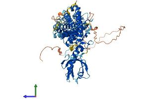 AlphaFold protein structure predicition of Human Recombinant RHPN2P1 Protein, UniprotID A8MT19 (RHPN2P1 Protein (AA 1-583) (His tag))