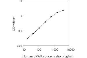 Plasminogen Activator, Urokinase Receptor (PLAUR) ELISA Kit