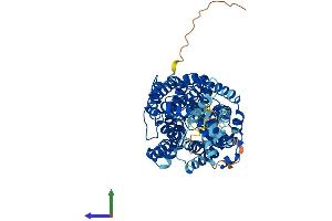 AlphaFold protein structure predicition of Mouse Recombinant Slc6a13 Protein, UniprotID P31649