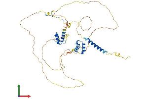 AlphaFold protein structure predicition of Human Recombinant TMPO Protein, UniprotID P42167