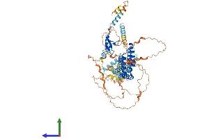 AlphaFold protein structure predicition of Human Recombinant TMEM201 Protein, UniprotID Q5SNT2 (TMEM201 Protein (AA 1-666) (His tag))