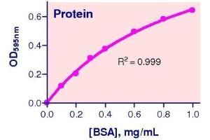Biochemical Assay (BCA) image for Protein Assay Kit (ABIN1000338) (Protein Assay Kit)