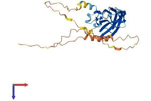 AlphaFold protein structure predicition of Mouse Recombinant Rims4 Protein, UniprotID P60191 (RIMS4 Protein (AA 1-269) (His tag))