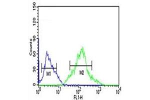 FOXP1 antibody flow cytometric analysis of Ramos cells (right histogram) compared to negative control cells (left histogram).