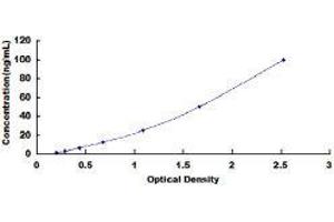 Casein alpha S1 (CSN1S1) ELISA Kit