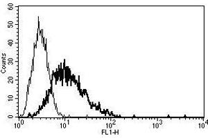 A typical staining pattern with the B-D13 monoclonal antibody of IL-13Ra2 transfected CHO cell line (IL13RA2 antibody)