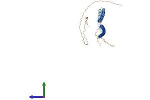 Protein Structure (PS) image for Keratin 16 (KRT16) (AA 1-469) protein (His tag) (ABIN7556437)