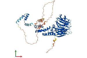 AlphaFold protein structure predicition of Mouse Recombinant Btrc Protein, UniprotID Q3ULA2