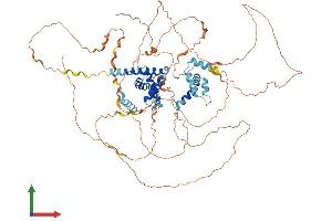 AlphaFold protein structure predicition of Human Recombinant NUTM2G Protein, UniprotID Q5VZR2 (FAM22G Protein (AA 1-741) (His tag))
