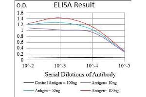 Black line: Control Antigen (100 ng), Purple line: Antigen(10 ng), Blue line: Antigen (50 ng), Red line: Antigen (100 ng), (GABBR2 antibody  (AA 319-483))