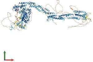 Protein Structure (PS) image for Lysine (K)-Specific Demethylase 5B (KDM5B) (AA 1-1544) protein (His tag) (ABIN7554328)