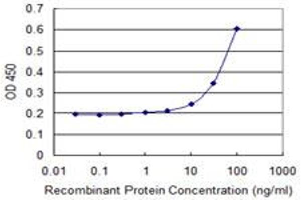 NMNAT2 antibody  (AA 1-302)