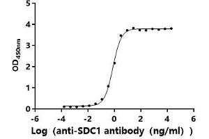 Measured by its binding ability in a functional ELISA.