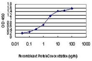 Detection limit for recombinant GST tagged ACVR1B is approximately 0. (Activin A Receptor Type IB/ALK-4 antibody  (AA 24-126))