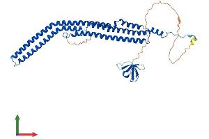 AlphaFold protein structure predicition of Human Recombinant PACSIN3 Protein, UniprotID Q9UKS6 (PACSIN3 Protein (AA 1-424) (His tag))