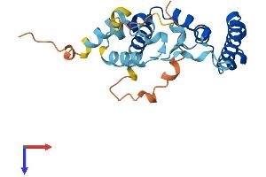 Protein Structure (PS) image for TBC1 Domain Family, Member 28 (TBC1D28) (AA 1-210) protein (His tag) (ABIN7544235)