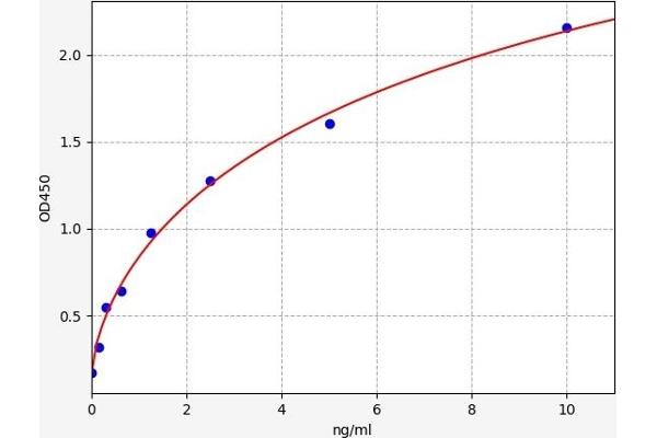 MEFV ELISA Kit