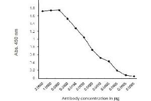 ELISA image for anti-C-Peptide antibody (ABIN487413) (C-Peptide antibody)