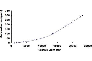 ELISA image for Lactotransferrin (LTF) CLIA Kit (ABIN492116)