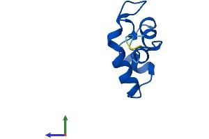 AlphaFold protein structure predicition of Mouse Recombinant Polr2l Protein, UniprotID P62876 (POLR2L Protein (AA 1-67) (Fc Tag))