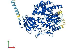 AlphaFold protein structure predicition of Mouse Recombinant Ptgis Protein, UniprotID O35074
