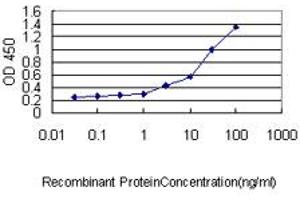 Detection limit for recombinant GST tagged PSMA4 is approximately 3ng/ml as a capture antibody. (PSMA4 antibody  (AA 1-261))