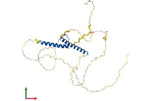 Protein Structure (PS) image for T-Cell Acute Lymphocytic Leukemia 1 (TAL1) (AA 1-329) protein (His tag) (ABIN7562965)