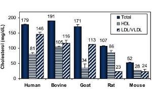 Biochemical Assay (BCA) image for EnzyLight™ HDL and LDL/VLDL Assay Kit (ABIN1000315)