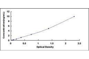 NADPH Oxidase 4 (NOX4) ELISA Kit