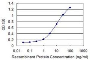 Detection limit for recombinant GST tagged MSL2 is 0. (MSL2 antibody  (AA 478-575))