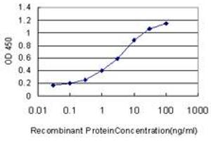 Detection limit for recombinant GST tagged S100A13 is approximately 0. (S100A13 antibody  (AA 1-98))